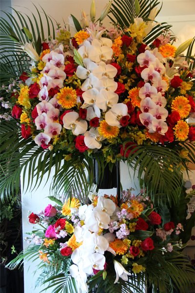 博多にお祝い胡蝶蘭やスタンド花を安く、そして当日配達してもらいたいが、どこの花屋さんへ頼んだらよいか探しておられる方へ。博多に当日配達可能、その方法、失敗しないポイントなどを簡単にまとめてみました。プレミアガーデン高級スタンド2段花税込59400円