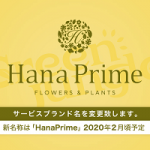 ハナプライム胡蝶蘭の評判。ハナプライム（HanaPrime）はグリーンジャングル（GreenJungle）から名称が変更になった胡蝶蘭通販です。高品質でコスパも良く、何よりラッピングや自社便納期対応などサービス面でも高評価のハナプライムHanaPrime胡蝶蘭の評判について簡単にまとめています。ハナプライムHanaPrime胡蝶蘭ロゴ